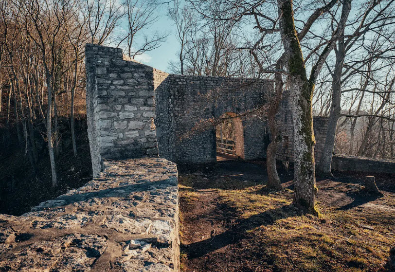 Burgruine Diepoldsburg, Germany